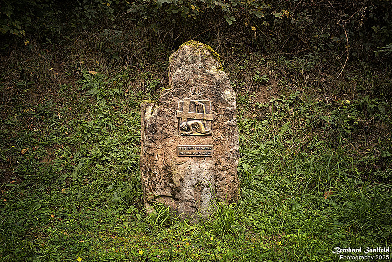 Bernhard Saalfeld - 07 Station